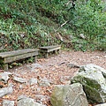 PC310043.JPG