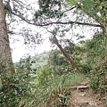 PC310048.JPG