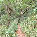 PC310049.JPG