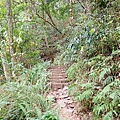 PC310052.JPG