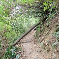 PC310053.JPG