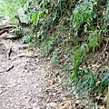 PC310055.JPG