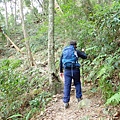PC310063.JPG