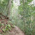 PC310072.JPG