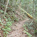 PC310073.JPG