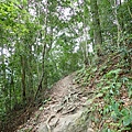 PC310074.JPG