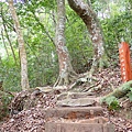 PC310075.JPG