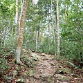 PC310079.JPG