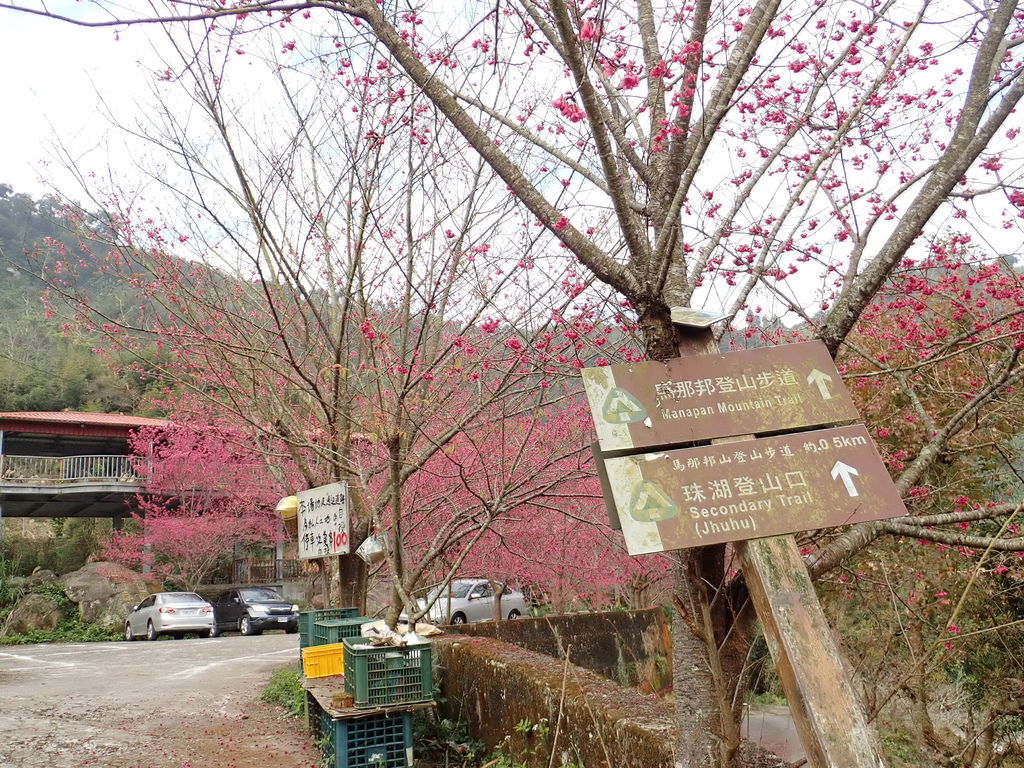 苗栗大湖 馬那邦山 馬拉邦山 珠湖登山口 小百岳no37 天才阿呆小玩家 痞客邦