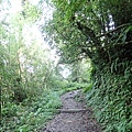P9203204.JPG