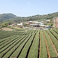 P3012676.JPG