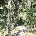 P3012753.JPG