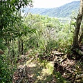 P7250146.JPG