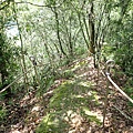P7250148.JPG