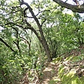 P7250153.JPG