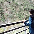 P2171382.JPG