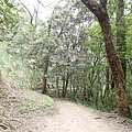 P3200861.JPG