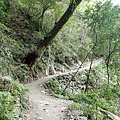 P3200910.JPG