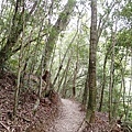 P3200915.JPG