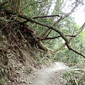 P3200925.JPG