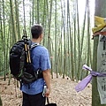 P6051635.JPG