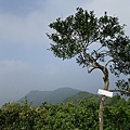 PC040728.JPG