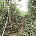 PC040747.JPG