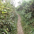 PC040748.JPG