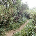 PC040750.JPG