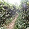 PC040751.JPG