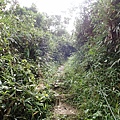 PC040752.JPG