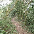 PC040764.JPG