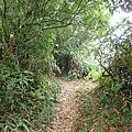 PC040765.JPG