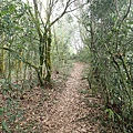 PC040766.JPG
