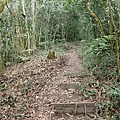 PC040767.JPG