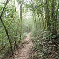 PC040771.JPG