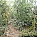 PC040768.JPG
