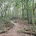 PC040773.JPG