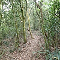 PC040772.JPG