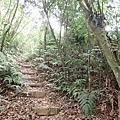 PC040774.JPG