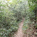 PC040781.JPG