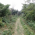 PC040788.JPG