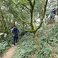 PC040801.JPG