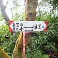 PC040808.JPG