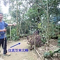 PC040820.JPG