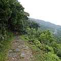 PA100435.JPG