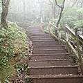 PA090111.JPG
