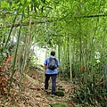 P5281434.JPG