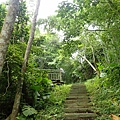 P5281512.JPG