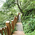 P5281524.JPG